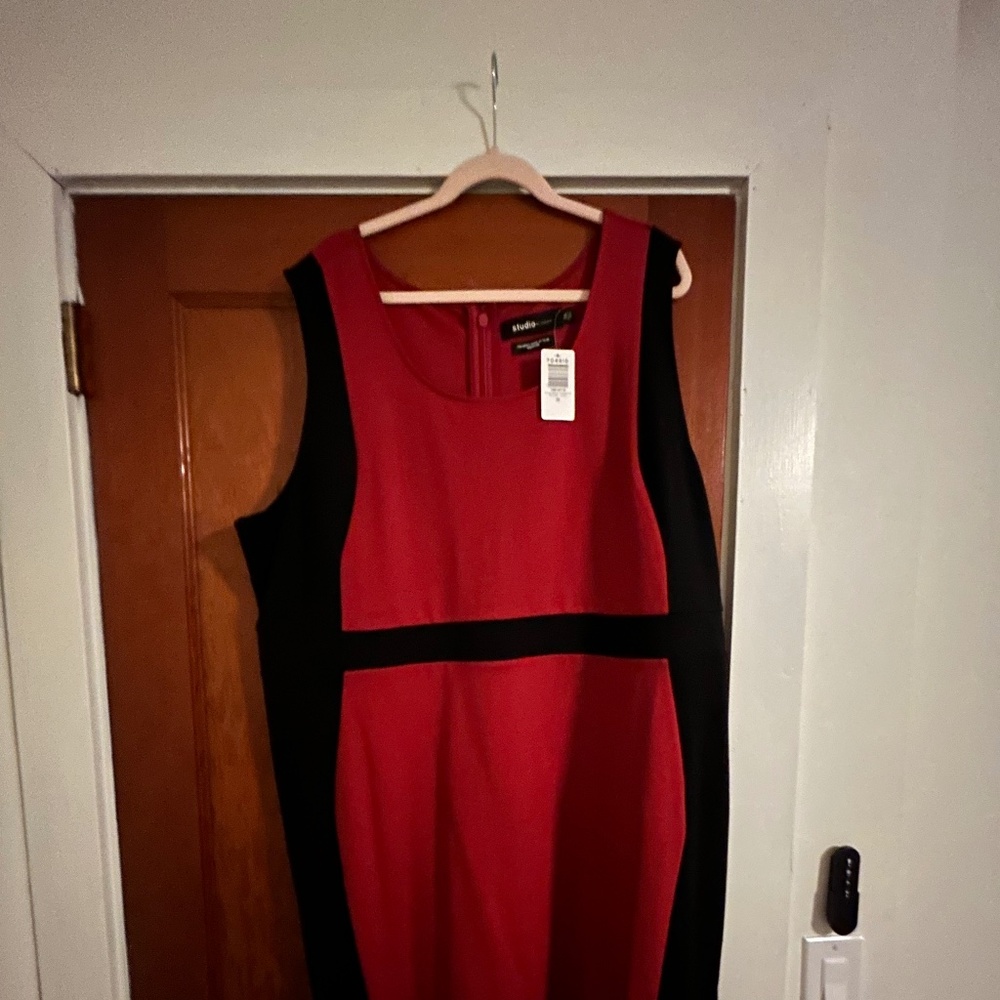 NWT Bodycon Contour Dress